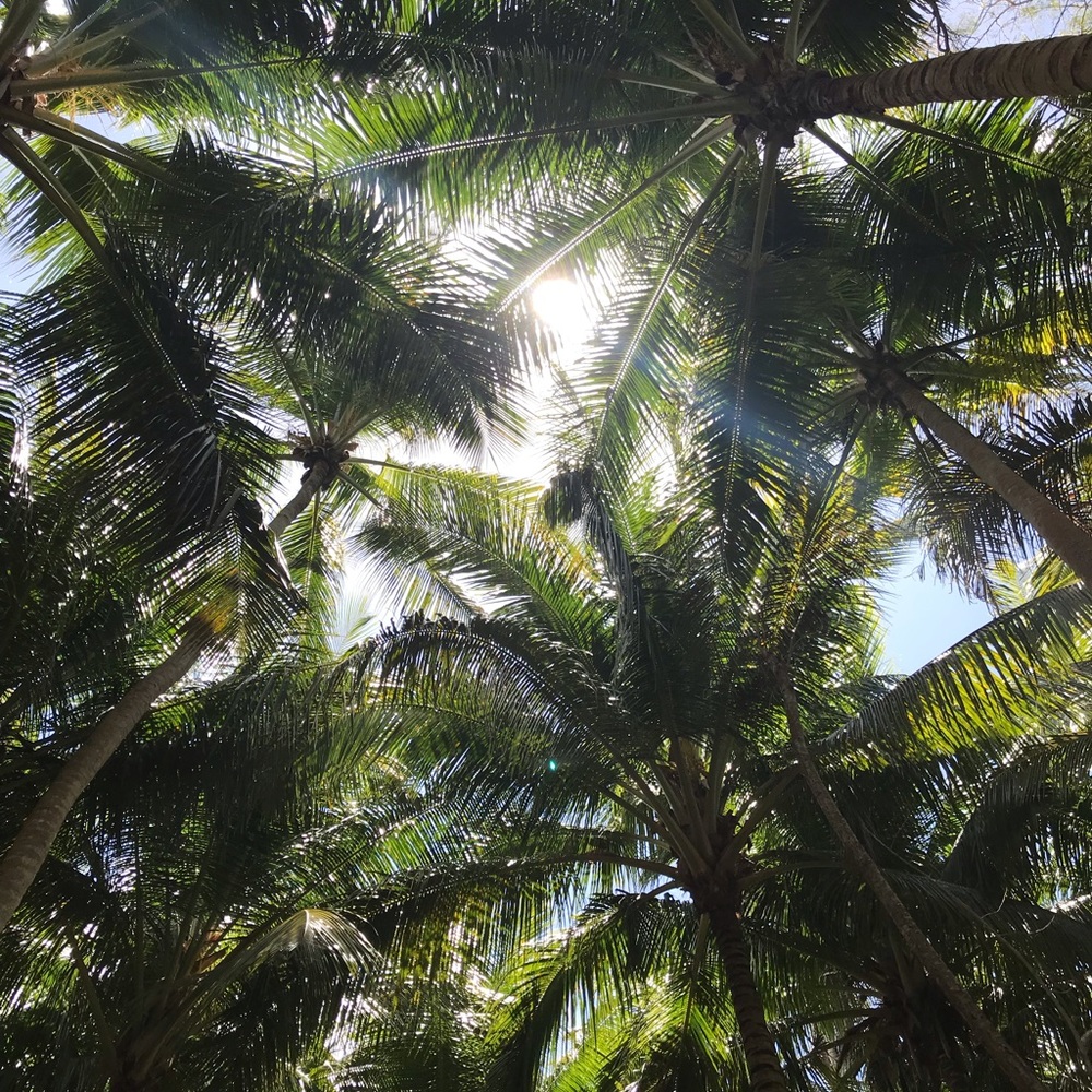 Meet your Posher, Kiara